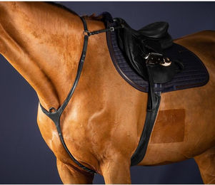 Produktbild von Dyon New English Collection Vorderzeug mit Brücke