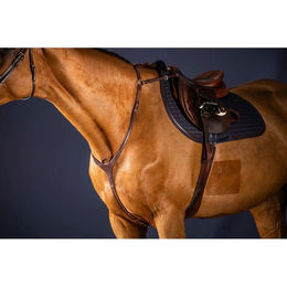 Produktbild von Dyon New English Collection Vorderzeug mit Brücke