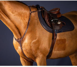 Produktbild von Dyon New English Collection Vorderzeug mit Brücke