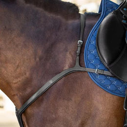 Produktbild von Dyon New English Collection Vorderzeug mit langer Brücke