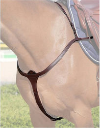 Produktbild von Dyon New English Collection Vorderzeug mit langer Brücke