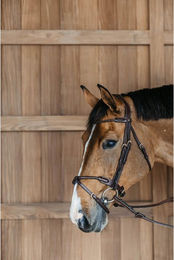 Produktbild von Dyon Rund geflochtene Trense mit kombiniertem Reithalfter