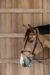 Produktbild von Dyon Rund geflochtene Trense mit kombiniertem Reithalfter