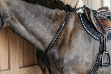 Produktbild von Dyon Vorderzeug mit geflochtener Brücke