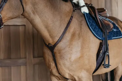 Produktbild von Dyon Vorderzeug mit geflochtener Brücke