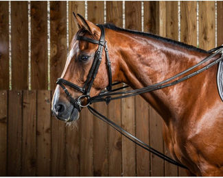 Produktbild von Dyon Working Collection Jagdschlaufzügel