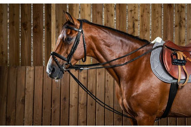 Produktbild von Dyon Working Collection Schlaufzügel Leder