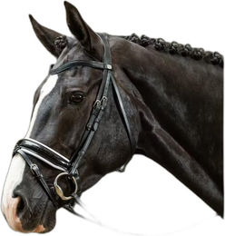 Produktbild von Dyon Working Collection Trense schwedisch kombiniert Lack