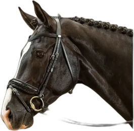 Produktbild von Dyon Working Collection Trense schwedisch kombiniert Lack