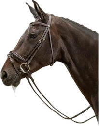 Produktbild von Dyon Working Collection Trense schwedisch kombiniert Lack