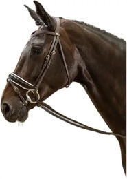 Produktbild von Dyon Working Collection Trense schwedisch kombiniert Lack weiß