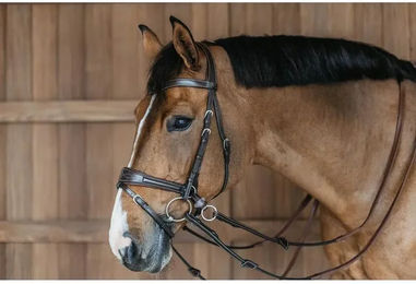 Dyon Working Motion Trense WBD – Bild 1 von 3