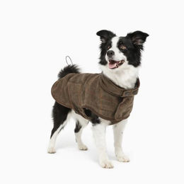 DAHLMANN Hundemantel für mittlere und große Hunde Grösse L aus Polyester in Braun Schwarz Bunt – Bild 1 von 9