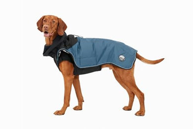 DAHLMANN Hundemantel Warmup Pro Sky Blau Wasserabweisend mit Rückenlänge 50 cm – Bild 1 von 7