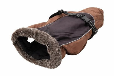 Dahlmann Hundeoverall Grizzly II XL wasserabweisend mit Fleece-Futter in Braun und Schwarz – Bild 1 von 2