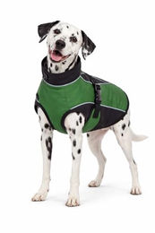 DAHLMANN Softshell Hundemantel Grün wasserabweisend und winddicht mit Fleece-Fütterung 62cm – Bild 1 von 10
