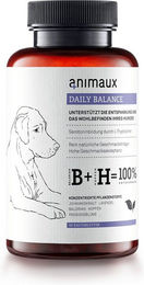 Produktbild von DAILY BALANCE Pflanzliche Beruhigungstabletten für Hunde zur Unterstützung des Immunsystems
