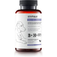 Produktbild von DAILY BALANCE Pflanzliche Beruhigungstabletten für Hunde zur Unterstützung des Immunsystems