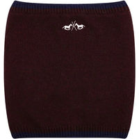 Produktbild von Damenschal HV Polo Tess in Rot