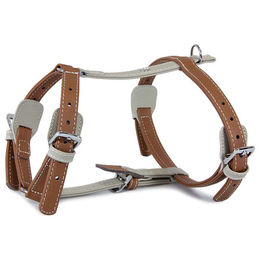 Produktbild von Das Lederband Amsterdam Hundegeschirr aus Leder in Brandy/Grey Halsumfang 25-45 cm