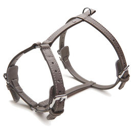 Produktbild von Das Lederband Amsterdam Hundegeschirr aus Leder in Lava/Lava