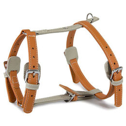 Produktbild von Das Lederband Amsterdam Hundegeschirr aus Leder Orange/Grau Halsumfang 25-45 cm