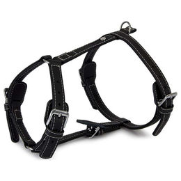 Das Lederband Barcelona Geschirr aus Bio-Leder in Schwarz für einen Halsumfang von 30-50 cm – Bild 1 von 1