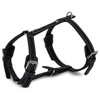Produktbild von Das Lederband Barcelona Geschirr aus Bio-Leder in Schwarz für einen Halsumfang von 35-55 cm