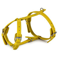 Produktbild von Das Lederband Barcelona Geschirr Bio Leder Gelb Halsumfang 25-45 cm