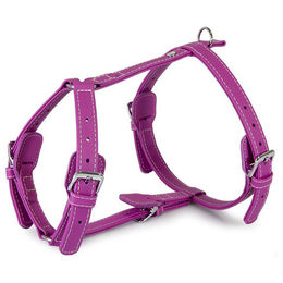Produktbild von Das Lederband Barcelona Geschirr Rose-Violett aus Bio-Leder für Hunde mit Halsumfang 30-50 cm