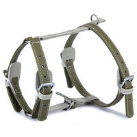 Produktbild von Das Lederband Geschirr Amsterdam Capers Grey Halsumfang 30-50 cm aus Leder