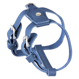 Produktbild von Das Lederband Geschirr Cannes Saphire Blau aus Leder für kleine Hunde
