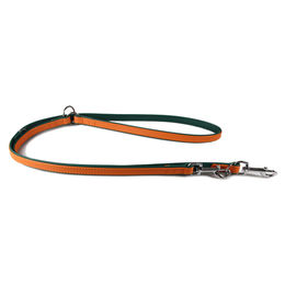Produktbild von Das Lederband Hunde Führleine Firenze Leder orange grün 200 cm 18 mm