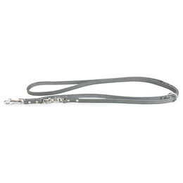 Produktbild von Das Lederband Hunde Führleine Grau 200 cm x 18 mm