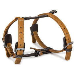 Produktbild von Das Lederband Hundegeschirr Amsterdam Caramel/Lava aus Leder mit Halsumfang 25-45 cm