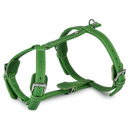 Produktbild von Das Lederband Hundegeschirr Barcelona Summer-Green aus Bio-Leder in Grün mit Halsumfang 30-50 cm
