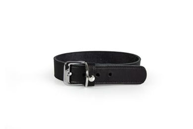 Das Lederband Hundehalsband aus Leder Schwarz 32 cm – Bild 1 von 6