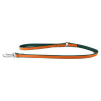 Produktbild von Das Lederband Hundeleine Firenze Leder orange grün 130 cm 10 mm