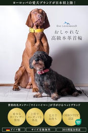 Das Lederband Premium Echtlederhalsband WEINHEIM für große Hunde aus echtem Leder in XL – Bild 1 von 5