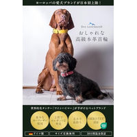 Produktbild von Das Lederband Premium Echtlederhalsband WEINHEIM für große Hunde aus echtem Leder in XL