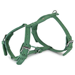 Produktbild von Das Lederband Toronto Geschirr aus Leder in Leaf Green wasserdicht Halsumfang 25-45 cm