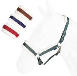 Produktbild von Daslö Gepolstertes Nylon Halfter mit synthetischem Lammfell in Grün für Vollblut Pferde