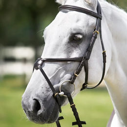 Produktbild von Daslö Kreuzband-Bandagenkopfstütze aus Leder für Ponys in Schwarz