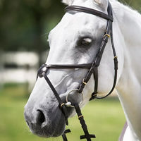 Produktbild von Daslö Kreuzband-Bandagenkopfstütze aus Leder für Ponys in Schwarz