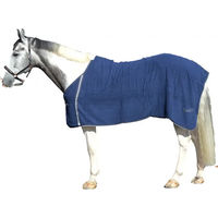 Produktbild von Daslö Pferd Handtuch Shirt Blau