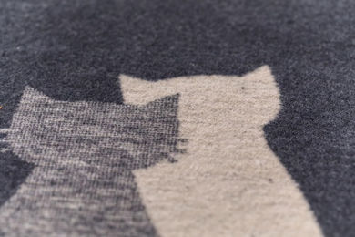 David Fussenegger Haustierdecke Katzenpaar aus Baumwolle 70 x 90 cm Anthrazit – Bild 1 von 3