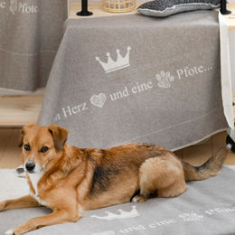 David Fussenegger Hundedecke ein Herz und eine Pfote aus Baumwolle 70 x 90 cm Beige Grau – Bild 1 von 12