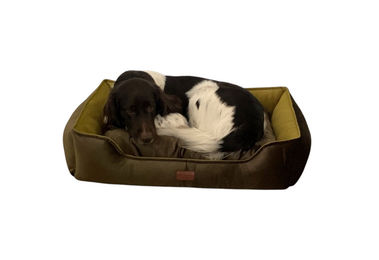 DDOnlineShop Hundebett Premium für erwachsene Hunde in Schwarz mit beidseitig verwendbaren Kissen aus Polyester – Bild 1 von 1