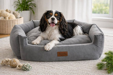 DDOnlineShop Hundematte Hundebett Grau aus Polyester für erwachsene Hunde – Bild 1 von 2