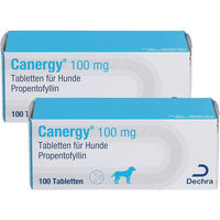 Produktbild von Dechra Canergy Propentofyllin 100 mg Tabletten für Hunde